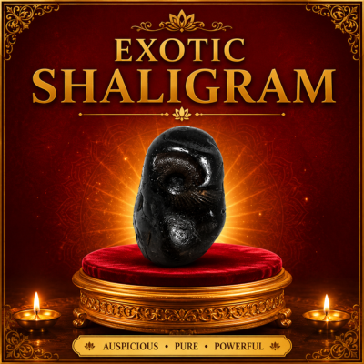 Exotic Shaligram